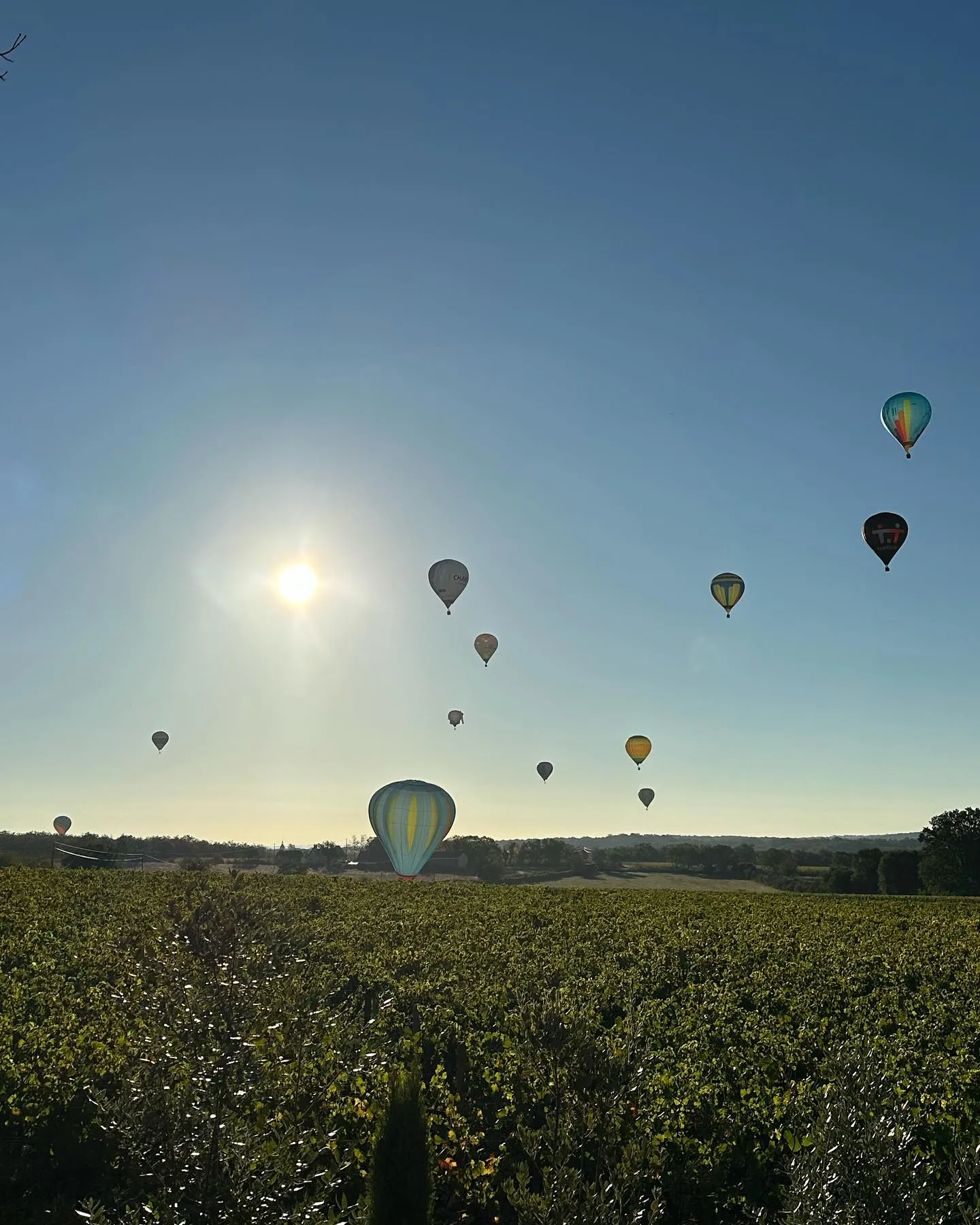 Montgolfières lever de soleil campagne du Lot
