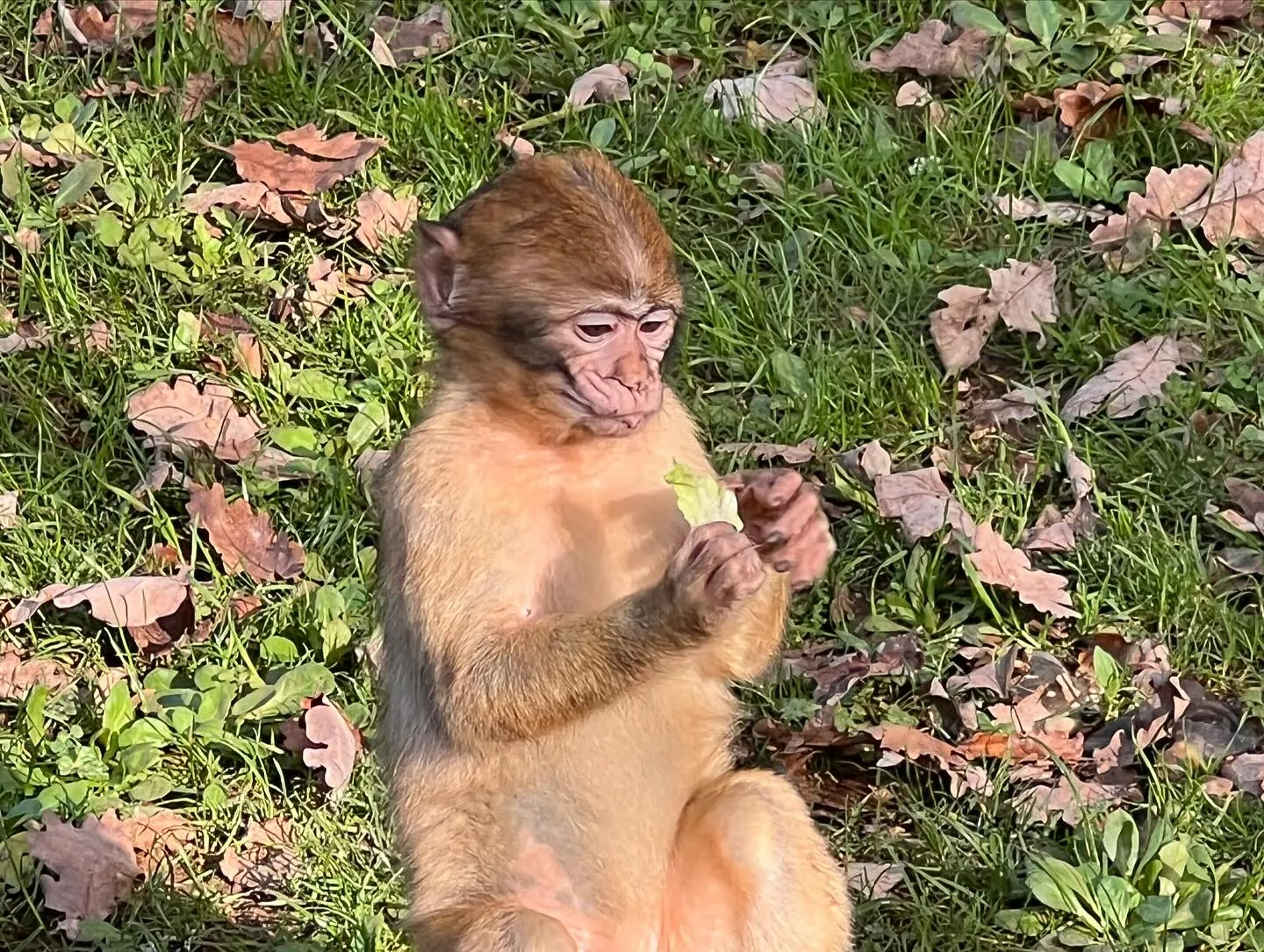 Chambre confortable décoration soignée hôtel Lot