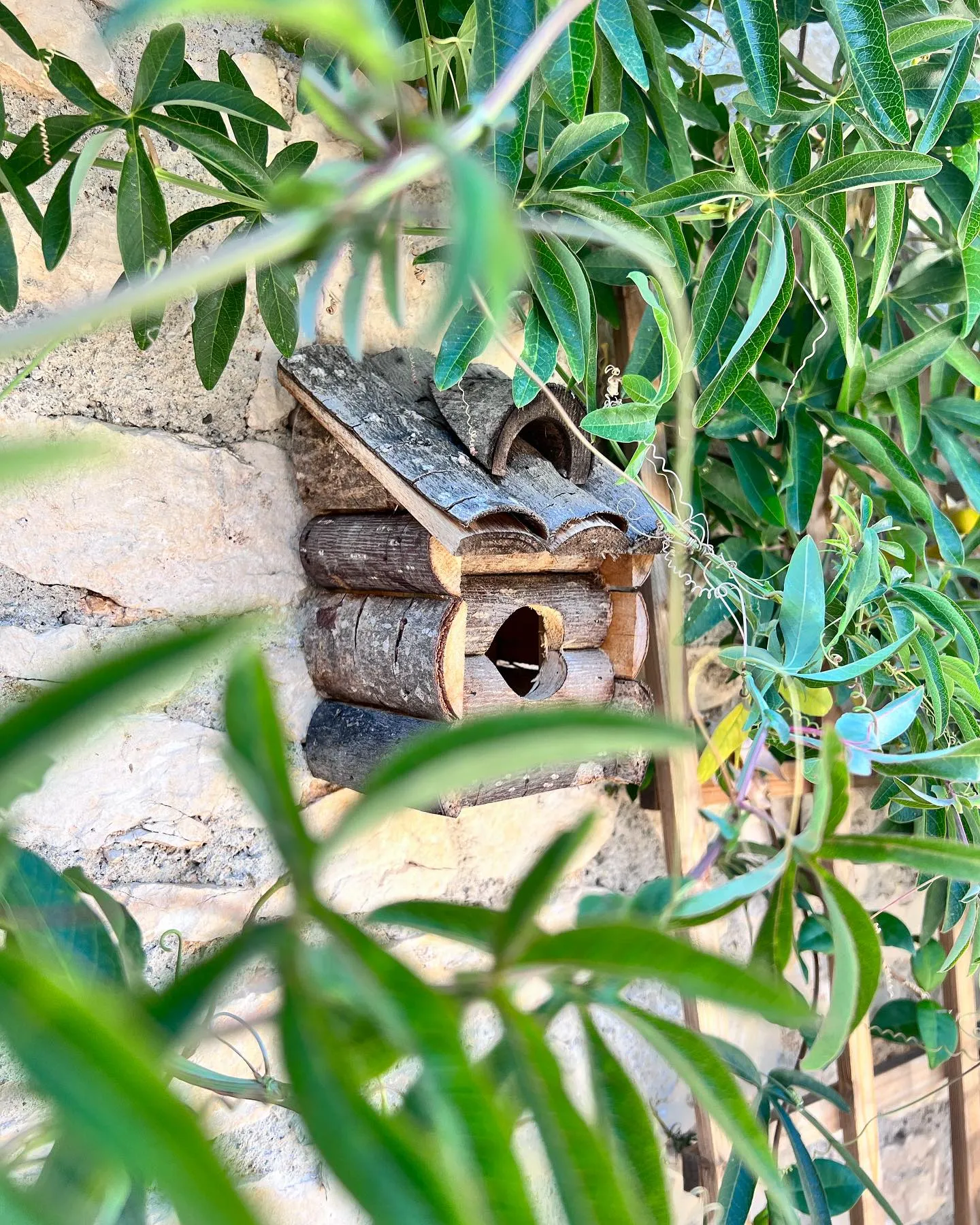Ambiance champêtre parc hôtel Rocamadour Lot