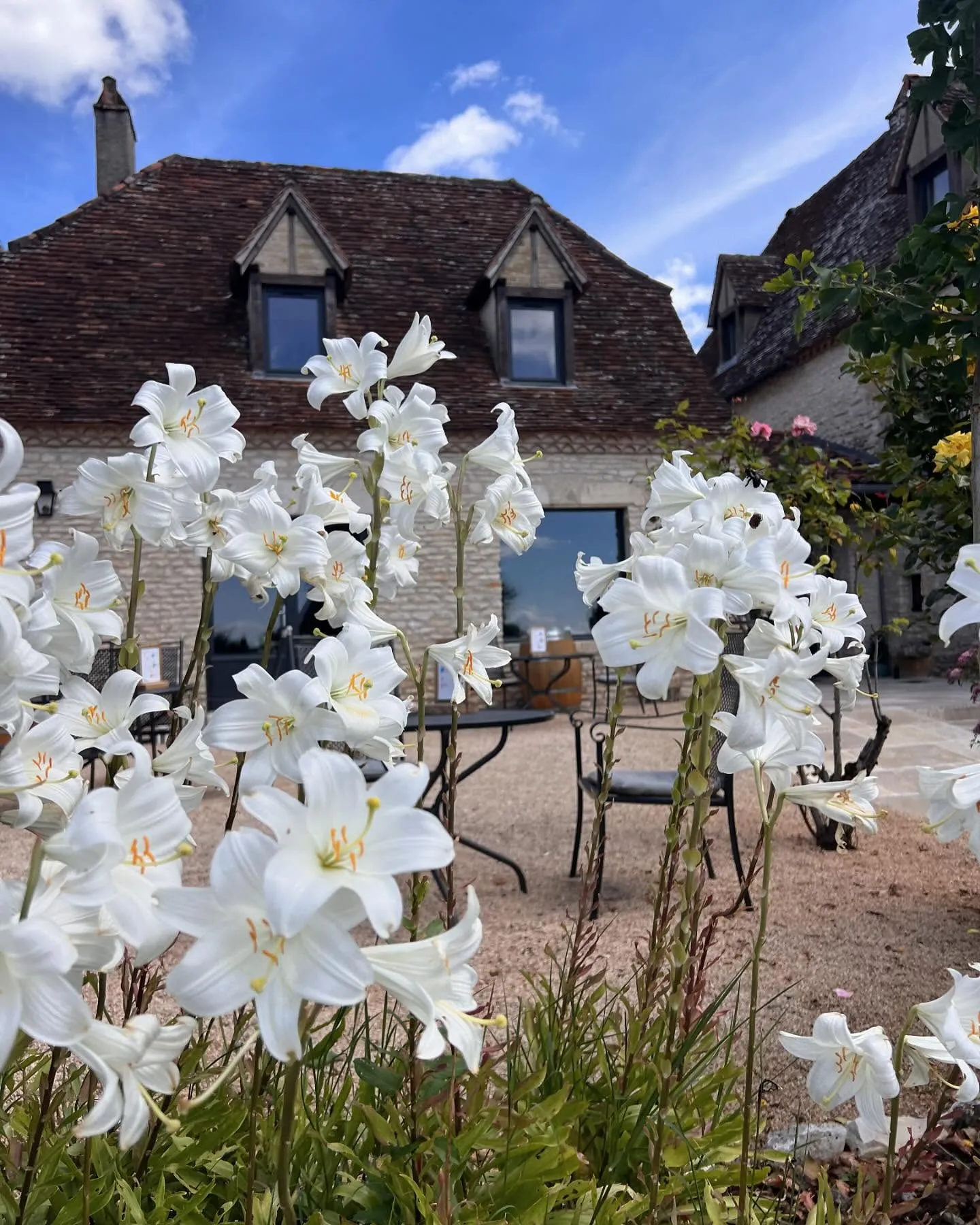 Espace vert luxuriant hôtel charme Lot