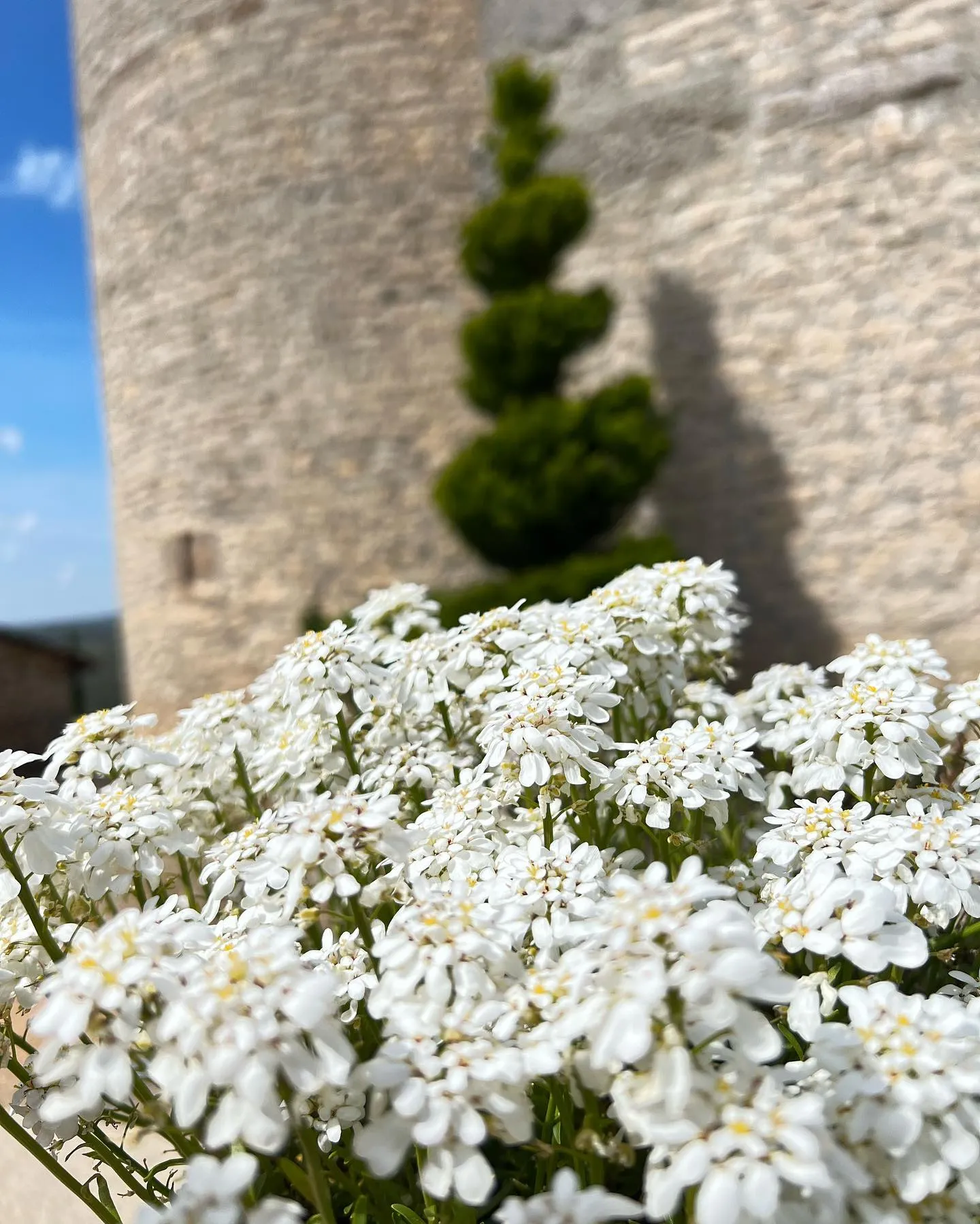 Vue dégagée vallée du Lot depuis l'hôtel