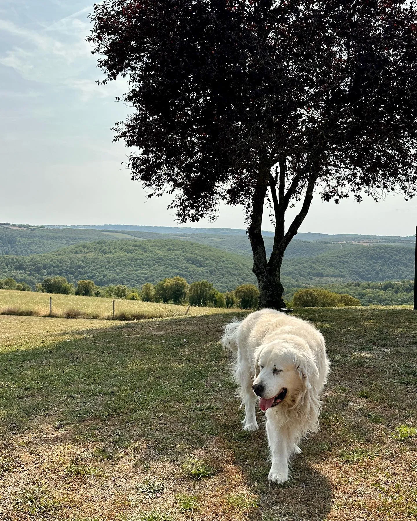 Décoration intérieure raffinée chambre hôtel