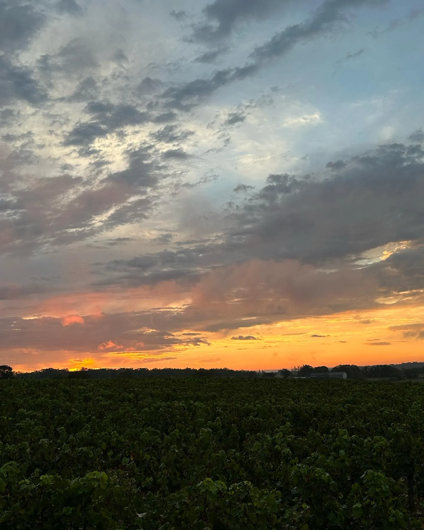 Paysage bucolique campagne Lot Quercy