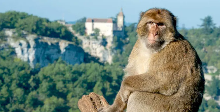 Village de Rocamadour accroché à la falaise - Lot Occitanie