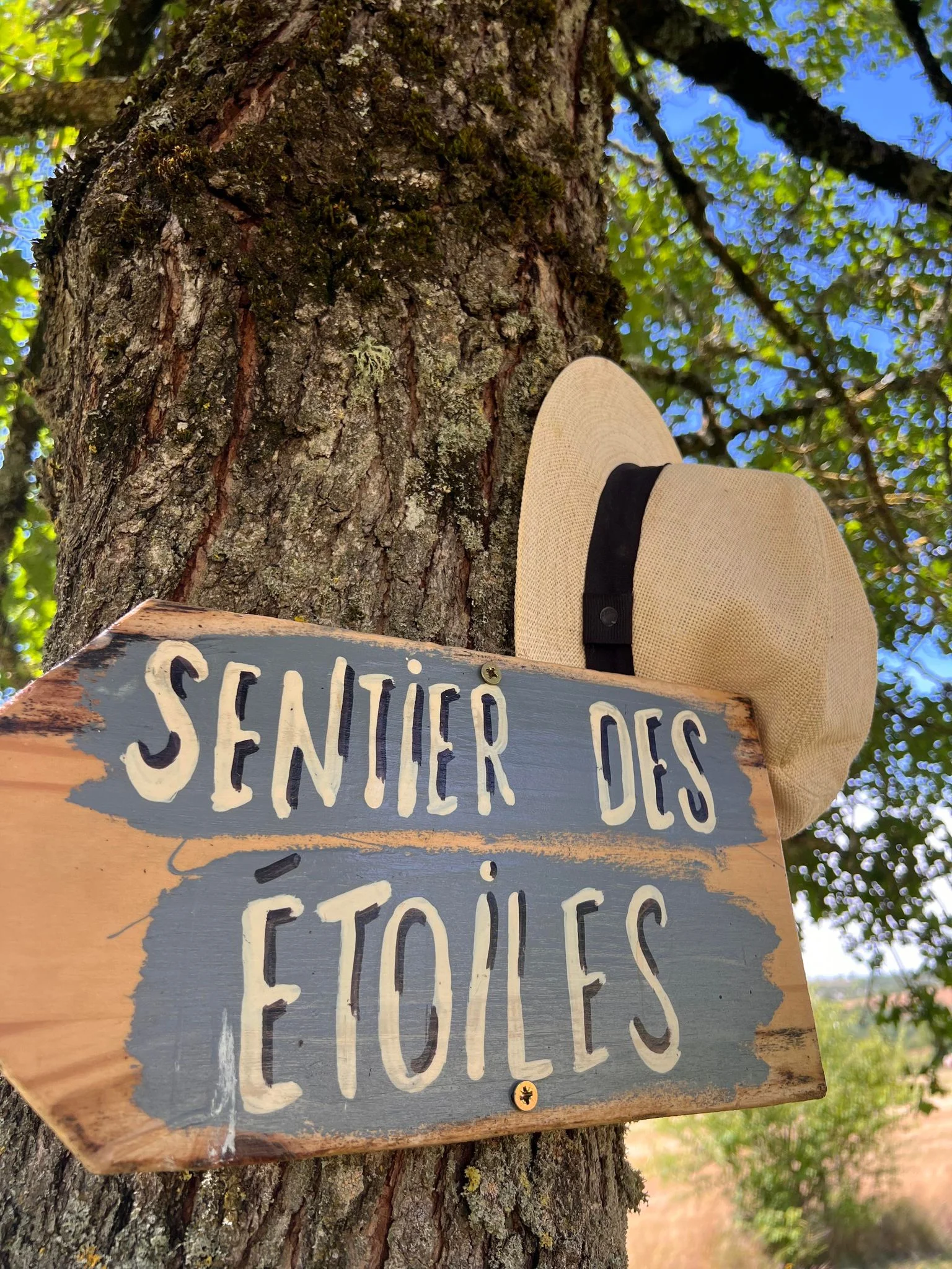 Panorama sur les sanctuaires de Rocamadour - Hébergement de charme Lot